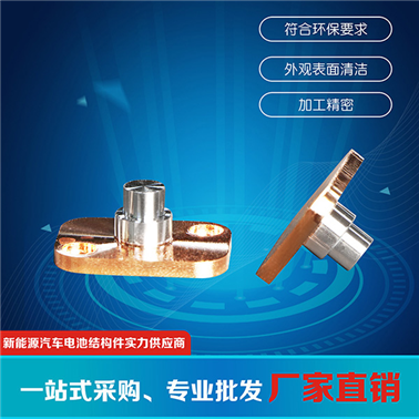 動(dòng)力電池極柱